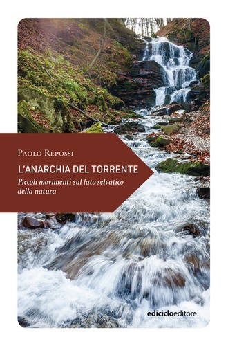 Anarchia del torrente - anarchia,