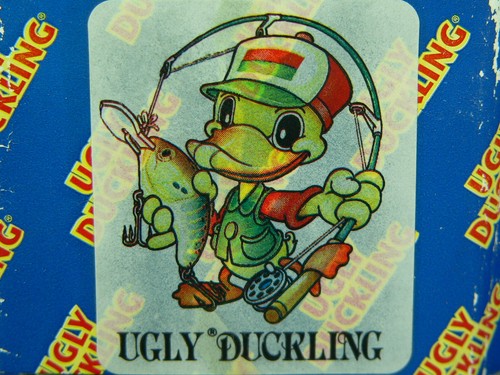 Minnow ugly duckling - minnow,