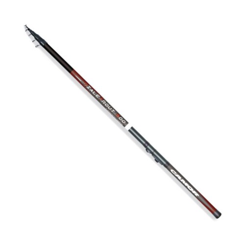Canna trota torrente - trota, con