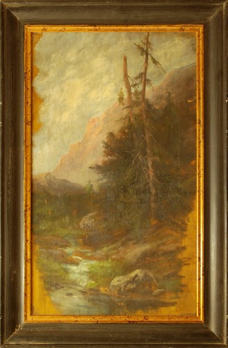 Torrente alpino stanislao - torrente,