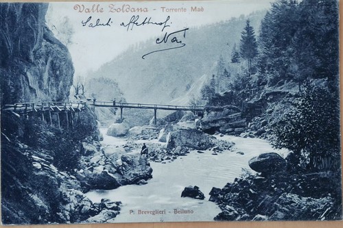 Rara zoldo alto - zoldo, 1905