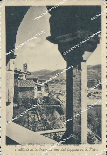 Bu109 cartolina leonessa - cartolina, il